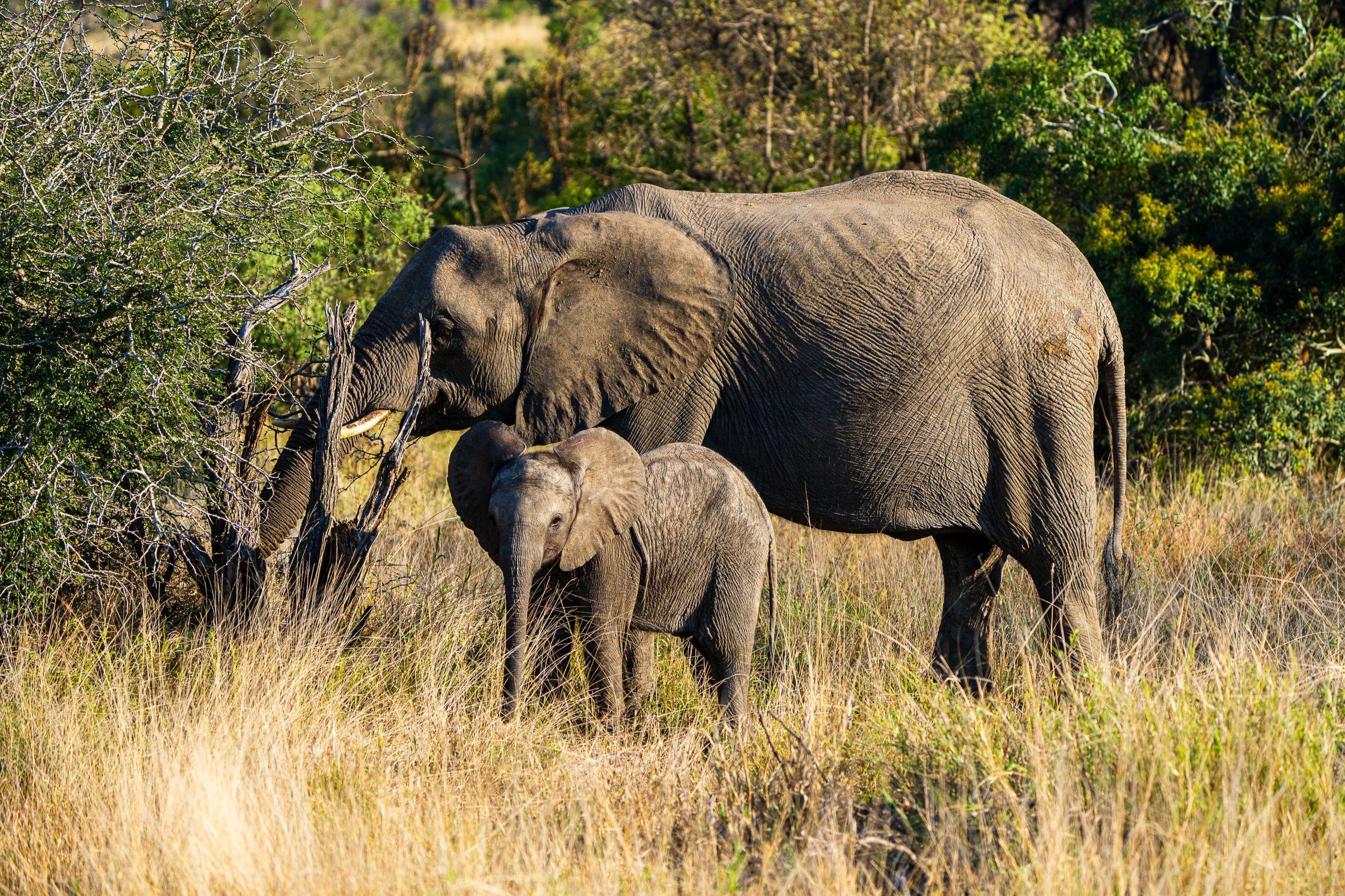 20231004 064926 Fotobuch Südafrika 04554